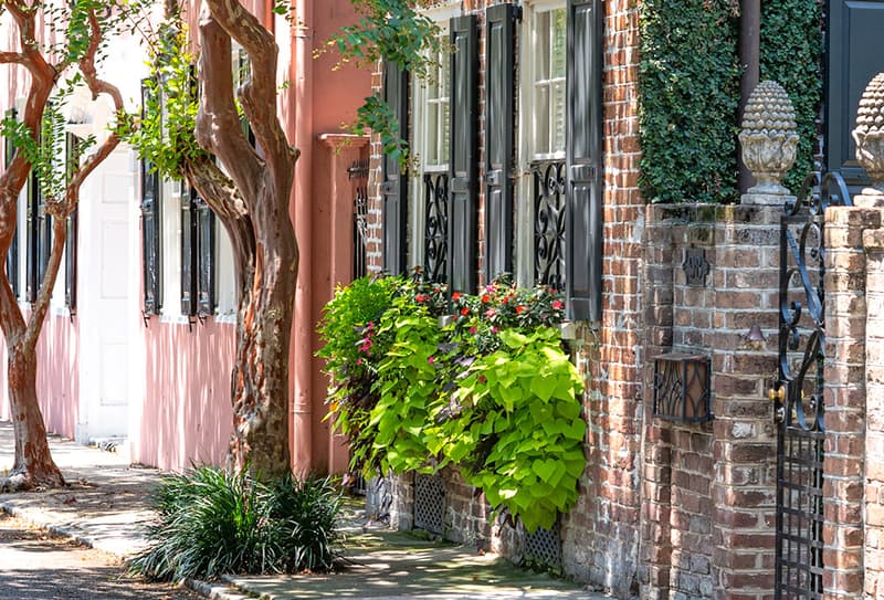 Top 10 Free Things to do In Charleston